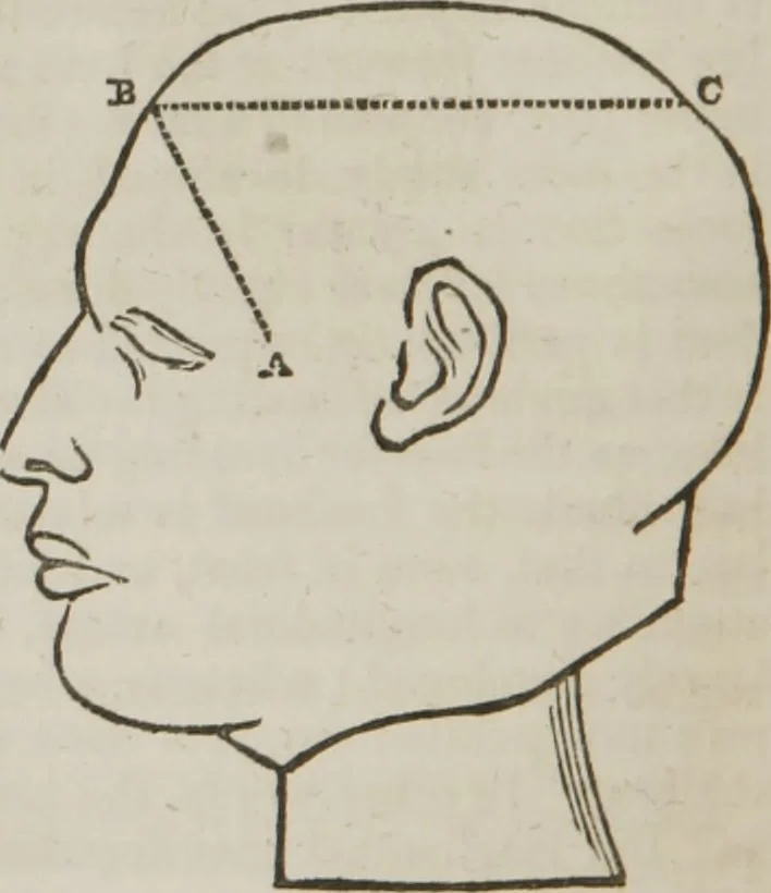 An illustration from Elements of phrenology, 1845, leaf 49