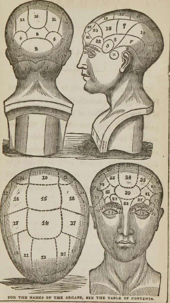 An illustration from Elements of phrenology, 1845, leaf 6