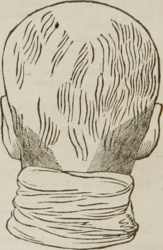 An illustration from Elements of phrenology, 1845, leaf 83