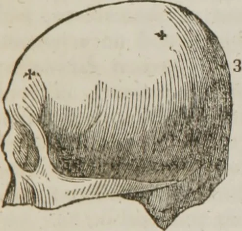 An illustration from Elements of phrenology, 1845, leaf 88