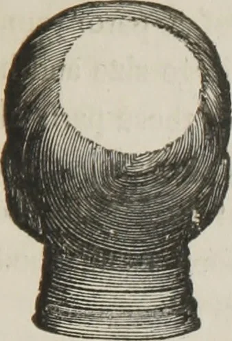 An illustration from A system of phrenology, 1834, leaf 128