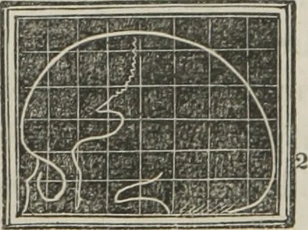 An illustration from A system of phrenology, 1834, leaf 143