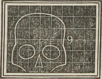 An illustration from A system of phrenology, 1834, leaf 226