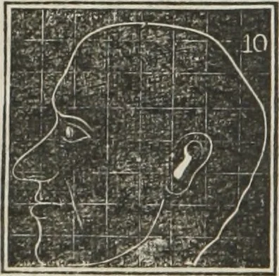 An illustration from A system of phrenology, 1834, leaf 237