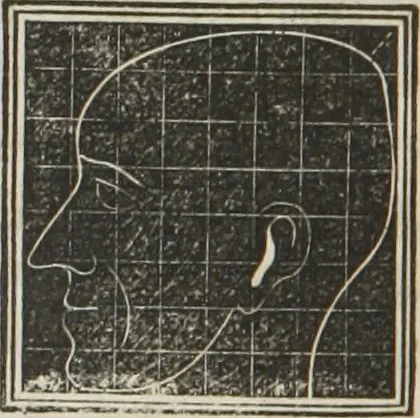 An illustration from A system of phrenology, 1834, leaf 237