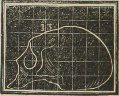 An illustration from A system of phrenology, 1834, leaf 263