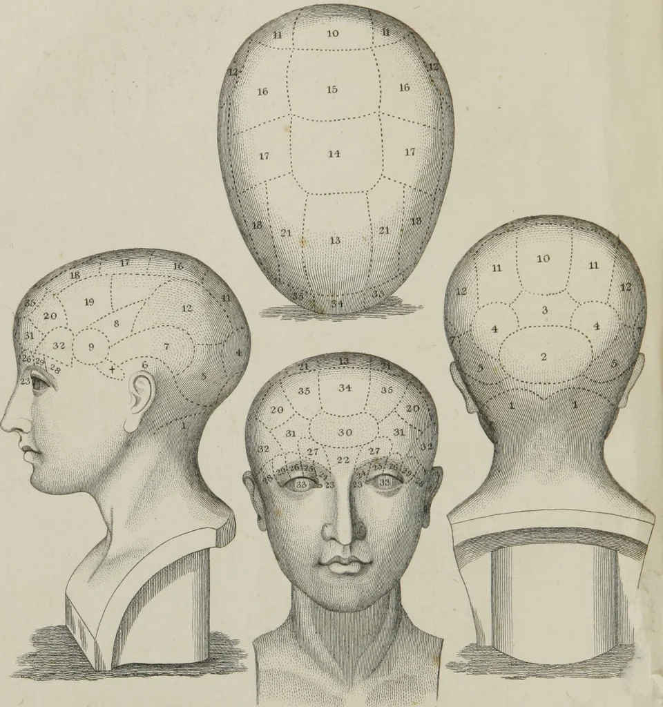 An illustration from A system of phrenology, 1834, leaf 3