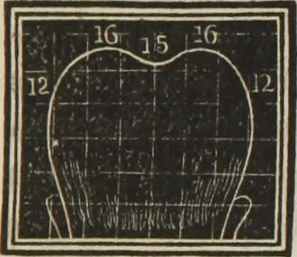 An illustration from A system of phrenology, 1834, leaf 300