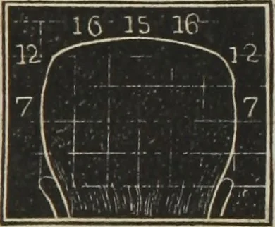 An illustration from A system of phrenology, 1834, leaf 300