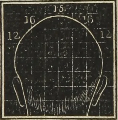 An illustration from A system of phrenology, 1834, leaf 300