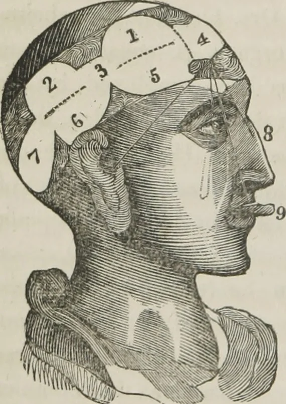 An illustration from A system of phrenology, 1834, leaf 39