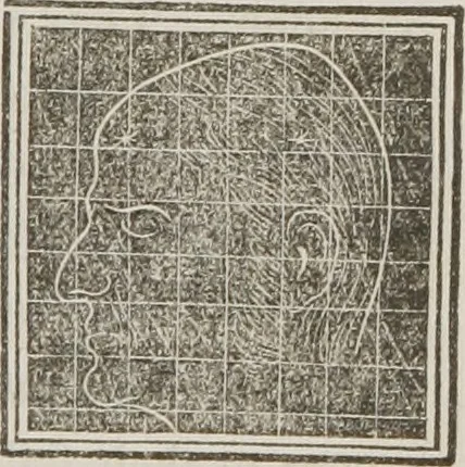 An illustration from A system of phrenology, 1834, leaf 550