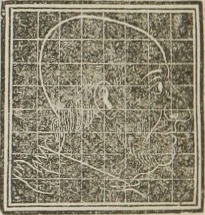 An illustration from A system of phrenology, 1834, leaf 557