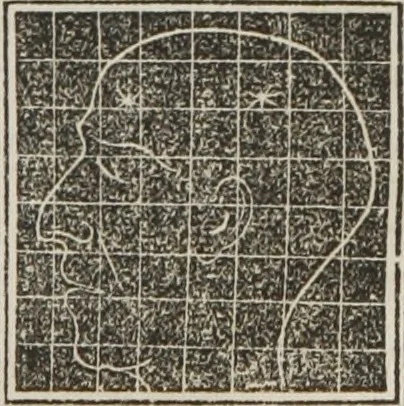 An illustration from A system of phrenology, 1834, leaf 568
