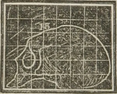 An illustration from A system of phrenology, 1834, leaf 589