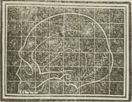 An illustration from A system of phrenology, 1834, leaf 593