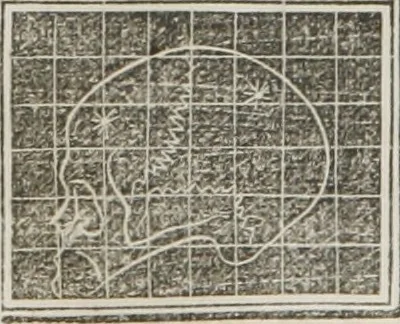 An illustration from A system of phrenology, 1834, leaf 595