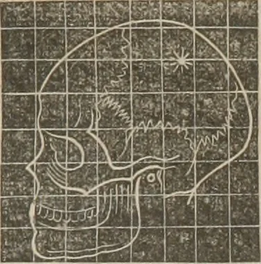 An illustration from A system of phrenology, 1834, leaf 598
