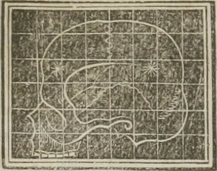 An illustration from A system of phrenology, 1834, leaf 601