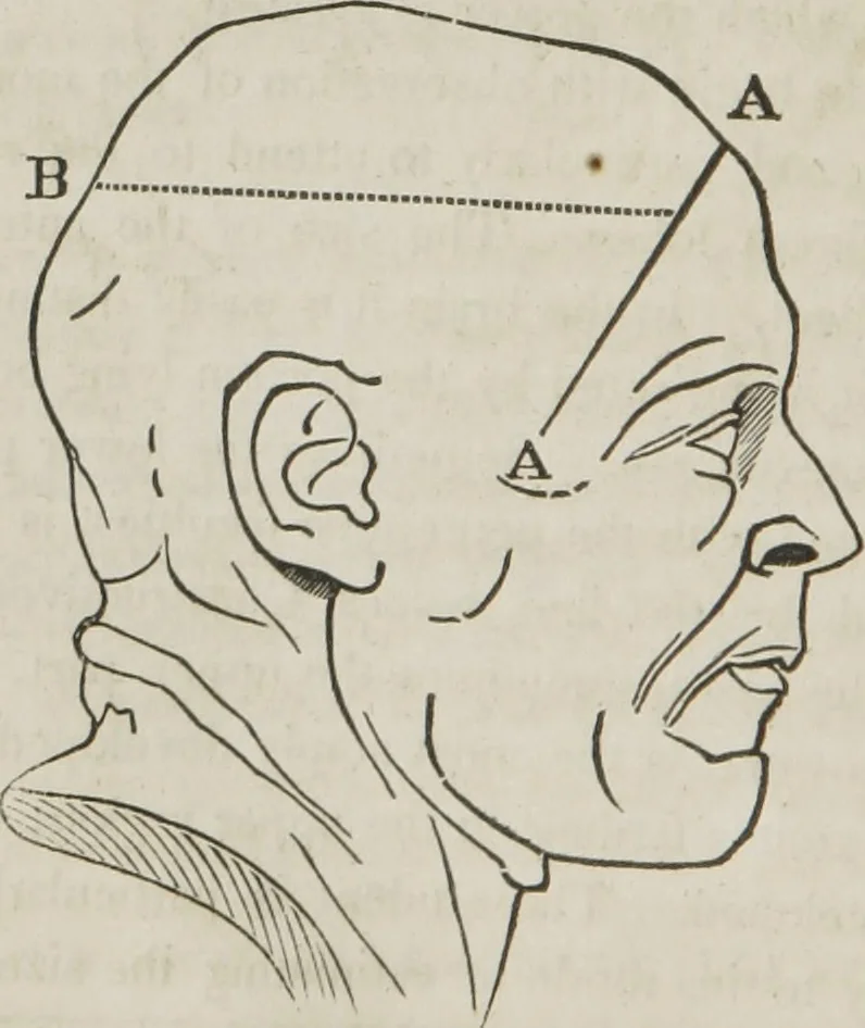 An illustration from A system of phrenology, 1834, leaf 99