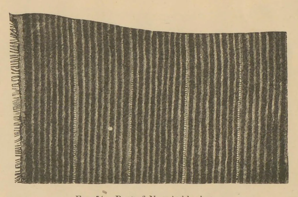 An illustration from Navajo weavers, 1885, leaf 25