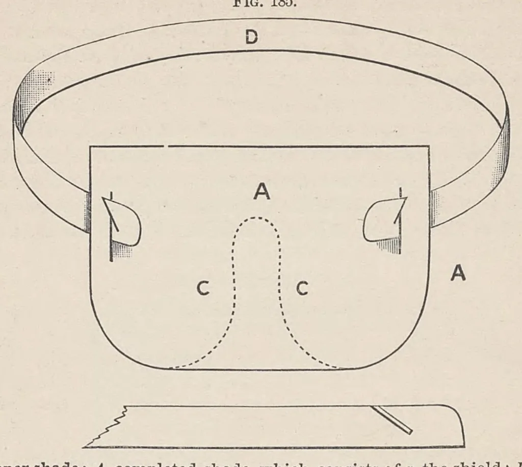 An illustration from Diseases of the eye, 1900, leaf 541