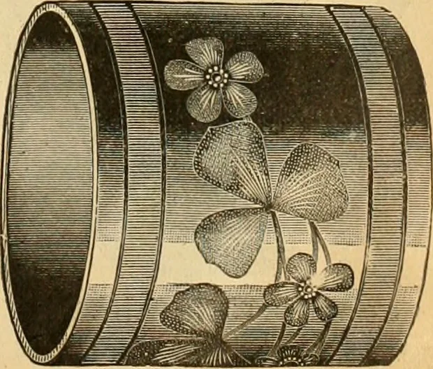 An illustration from 13th annual illustrated catalog, 1889 ... containing illustrations and prices of a few leading and staple styles of diamonds, watches, jewelry, silverware, clocks, canes, umbrellas, opera glasses, gold spectacles, eye glasses, etc., 1889, leaf 116
