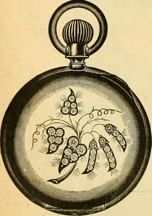 An illustration from 13th annual illustrated catalog, 1889 ... containing illustrations and prices of a few leading and staple styles of diamonds, watches, jewelry, silverware, clocks, canes, umbrellas, opera glasses, gold spectacles, eye glasses, etc., 1889, leaf 221