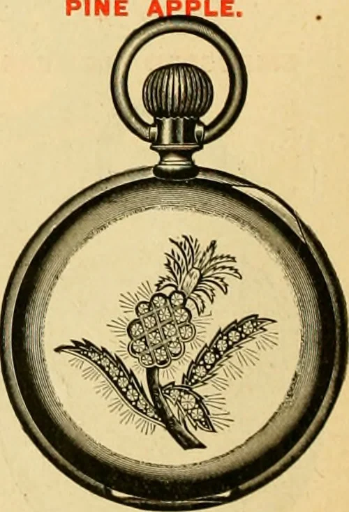 An illustration from 13th annual illustrated catalog, 1889 ... containing illustrations and prices of a few leading and staple styles of diamonds, watches, jewelry, silverware, clocks, canes, umbrellas, opera glasses, gold spectacles, eye glasses, etc., 1889, leaf 221