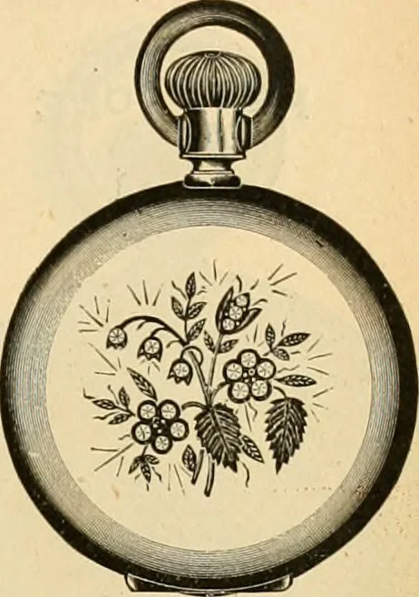 An illustration from 13th annual illustrated catalog, 1889 ... containing illustrations and prices of a few leading and staple styles of diamonds, watches, jewelry, silverware, clocks, canes, umbrellas, opera glasses, gold spectacles, eye glasses, etc., 1889, leaf 222