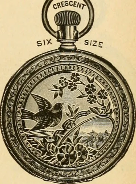 An illustration from 13th annual illustrated catalog, 1889 ... containing illustrations and prices of a few leading and staple styles of diamonds, watches, jewelry, silverware, clocks, canes, umbrellas, opera glasses, gold spectacles, eye glasses, etc., 1889, leaf 254