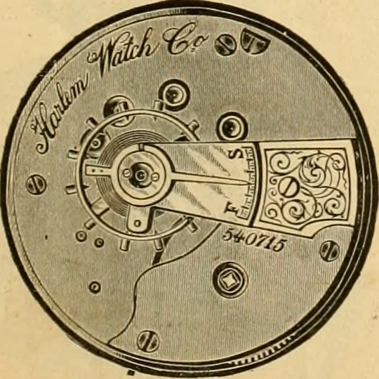 An illustration from 13th annual illustrated catalog, 1889 ... containing illustrations and prices of a few leading and staple styles of diamonds, watches, jewelry, silverware, clocks, canes, umbrellas, opera glasses, gold spectacles, eye glasses, etc., 1889, leaf 266