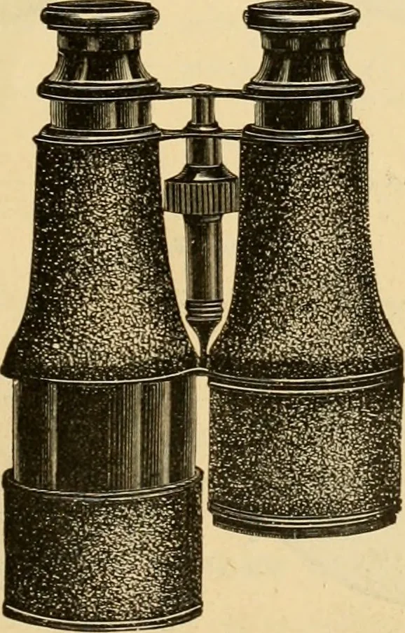 An illustration from 13th annual illustrated catalog, 1889 ... containing illustrations and prices of a few leading and staple styles of diamonds, watches, jewelry, silverware, clocks, canes, umbrellas, opera glasses, gold spectacles, eye glasses, etc., 1889, leaf 278