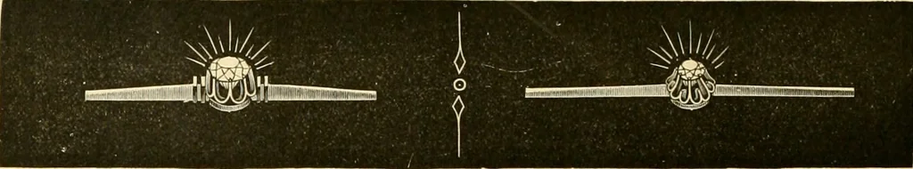 An illustration from 13th annual illustrated catalog, 1889 ... containing illustrations and prices of a few leading and staple styles of diamonds, watches, jewelry, silverware, clocks, canes, umbrellas, opera glasses, gold spectacles, eye glasses, etc., 1889, leaf 303