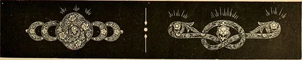 An illustration from 13th annual illustrated catalog, 1889 ... containing illustrations and prices of a few leading and staple styles of diamonds, watches, jewelry, silverware, clocks, canes, umbrellas, opera glasses, gold spectacles, eye glasses, etc., 1889, leaf 304
