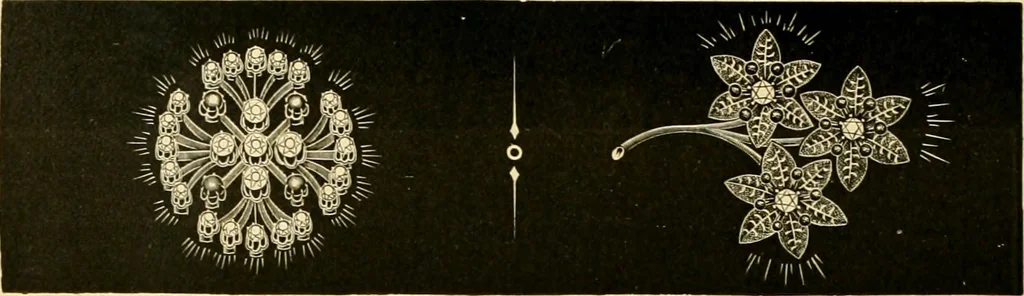 An illustration from 13th annual illustrated catalog, 1889 ... containing illustrations and prices of a few leading and staple styles of diamonds, watches, jewelry, silverware, clocks, canes, umbrellas, opera glasses, gold spectacles, eye glasses, etc., 1889, leaf 305