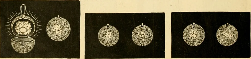 An illustration from 13th annual illustrated catalog, 1889 ... containing illustrations and prices of a few leading and staple styles of diamonds, watches, jewelry, silverware, clocks, canes, umbrellas, opera glasses, gold spectacles, eye glasses, etc., 1889, leaf 313