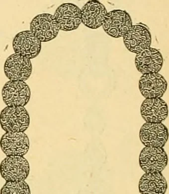 An illustration from 13th annual illustrated catalog, 1889 ... containing illustrations and prices of a few leading and staple styles of diamonds, watches, jewelry, silverware, clocks, canes, umbrellas, opera glasses, gold spectacles, eye glasses, etc., 1889, leaf 325