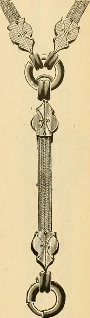 An illustration from 13th annual illustrated catalog, 1889 ... containing illustrations and prices of a few leading and staple styles of diamonds, watches, jewelry, silverware, clocks, canes, umbrellas, opera glasses, gold spectacles, eye glasses, etc., 1889, leaf 326