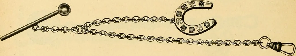 An illustration from 13th annual illustrated catalog, 1889 ... containing illustrations and prices of a few leading and staple styles of diamonds, watches, jewelry, silverware, clocks, canes, umbrellas, opera glasses, gold spectacles, eye glasses, etc., 1889, leaf 341
