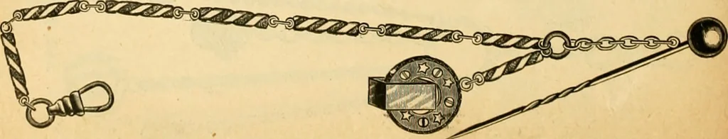 An illustration from 13th annual illustrated catalog, 1889 ... containing illustrations and prices of a few leading and staple styles of diamonds, watches, jewelry, silverware, clocks, canes, umbrellas, opera glasses, gold spectacles, eye glasses, etc., 1889, leaf 341