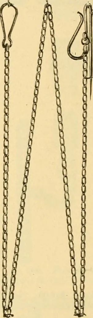An illustration from 13th annual illustrated catalog, 1889 ... containing illustrations and prices of a few leading and staple styles of diamonds, watches, jewelry, silverware, clocks, canes, umbrellas, opera glasses, gold spectacles, eye glasses, etc., 1889, leaf 371