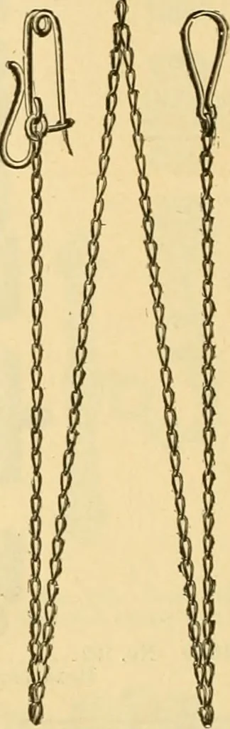 An illustration from 13th annual illustrated catalog, 1889 ... containing illustrations and prices of a few leading and staple styles of diamonds, watches, jewelry, silverware, clocks, canes, umbrellas, opera glasses, gold spectacles, eye glasses, etc., 1889, leaf 371
