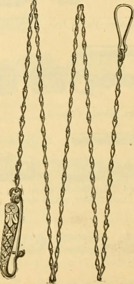 An illustration from 13th annual illustrated catalog, 1889 ... containing illustrations and prices of a few leading and staple styles of diamonds, watches, jewelry, silverware, clocks, canes, umbrellas, opera glasses, gold spectacles, eye glasses, etc., 1889, leaf 371
