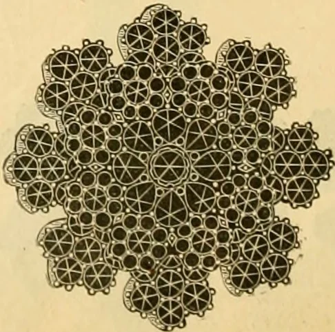 An illustration from 13th annual illustrated catalog, 1889 ... containing illustrations and prices of a few leading and staple styles of diamonds, watches, jewelry, silverware, clocks, canes, umbrellas, opera glasses, gold spectacles, eye glasses, etc., 1889, leaf 415