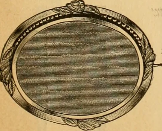 An illustration from 13th annual illustrated catalog, 1889 ... containing illustrations and prices of a few leading and staple styles of diamonds, watches, jewelry, silverware, clocks, canes, umbrellas, opera glasses, gold spectacles, eye glasses, etc., 1889, leaf 440