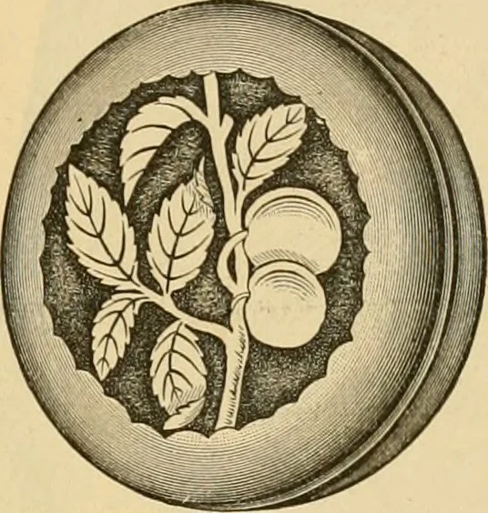 An illustration from 13th annual illustrated catalog, 1889 ... containing illustrations and prices of a few leading and staple styles of diamonds, watches, jewelry, silverware, clocks, canes, umbrellas, opera glasses, gold spectacles, eye glasses, etc., 1889, leaf 92