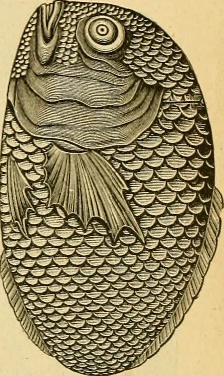 An illustration from 13th annual illustrated catalog, 1889 ... containing illustrations and prices of a few leading and staple styles of diamonds, watches, jewelry, silverware, clocks, canes, umbrellas, opera glasses, gold spectacles, eye glasses, etc., 1889, leaf 97