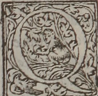 An illustration from De morborum internorum curatione libri quatuor : Adjectis ab Joanne Raenerio medico in singulis capitum initiis morborum causis, & signis, ex Galeno, Paulo Aegineta, atque Aetio desumptis, 1550, leaf 398