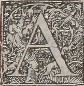 An illustration from De morborum internorum curatione libri quatuor : Adjectis ab Joanne Raenerio medico in singulis capitum initiis morborum causis, & signis, ex Galeno, Paulo Aegineta, atque Aetio desumptis, 1550, leaf 7